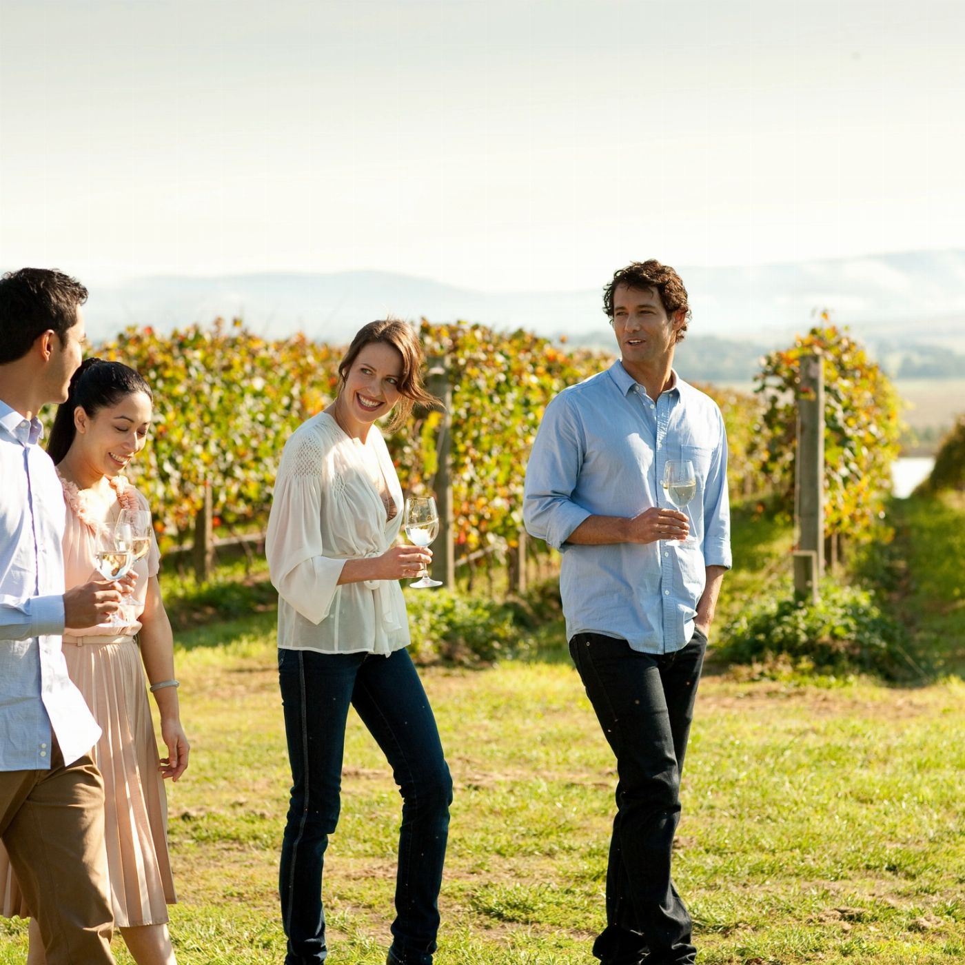 Wildlife Tours Australia Yarra Valley Wine Bubbles + Kangaroos Tour