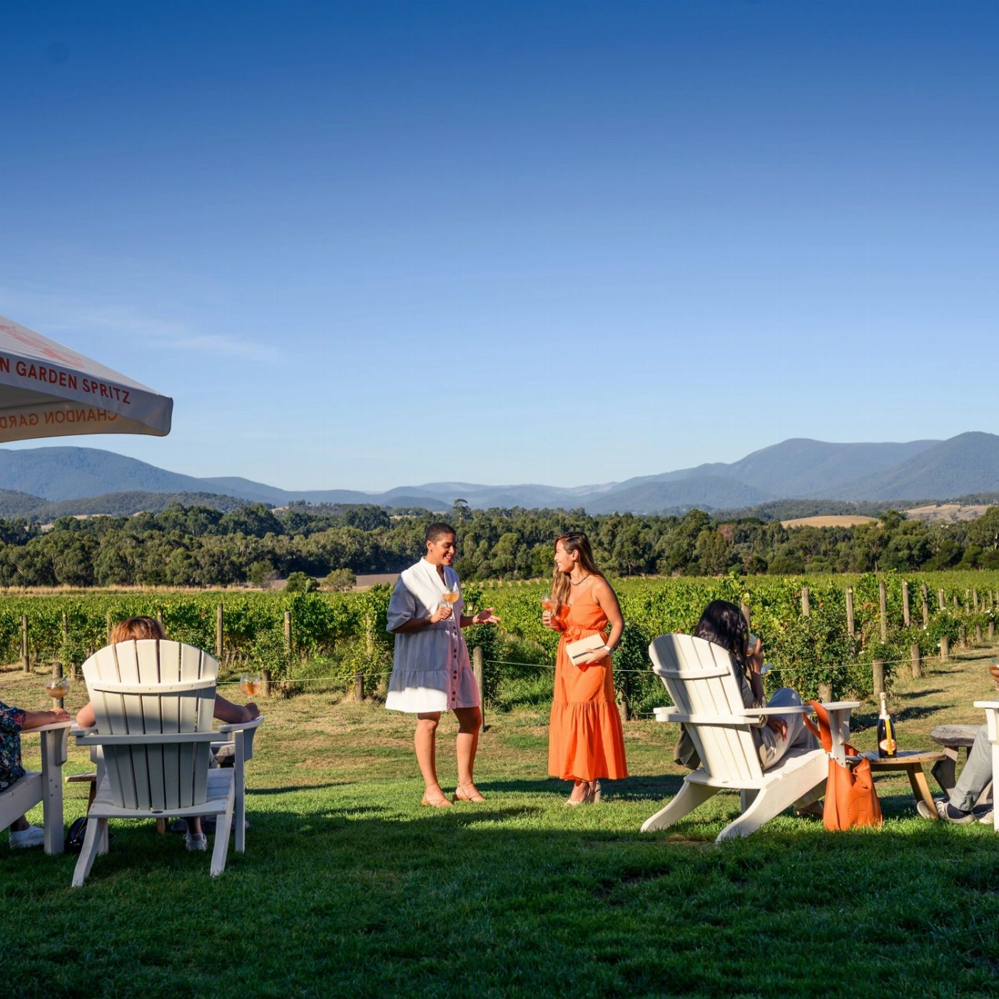 Wildlife Tours Australia Yarra Valley Wine Bubbles + Kangaroos Tour