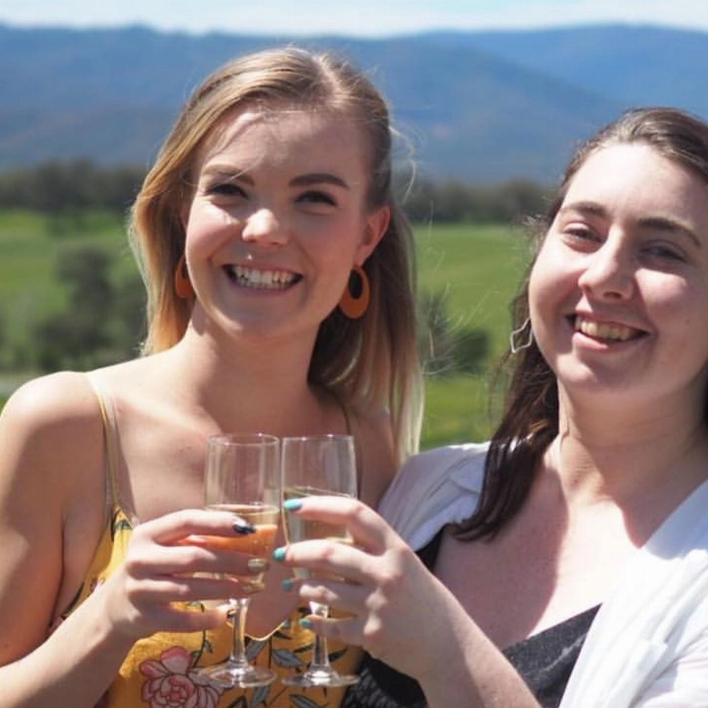 Wildlife Tours Australia Yarra Valley Wine Bubbles + Kangaroos Tour