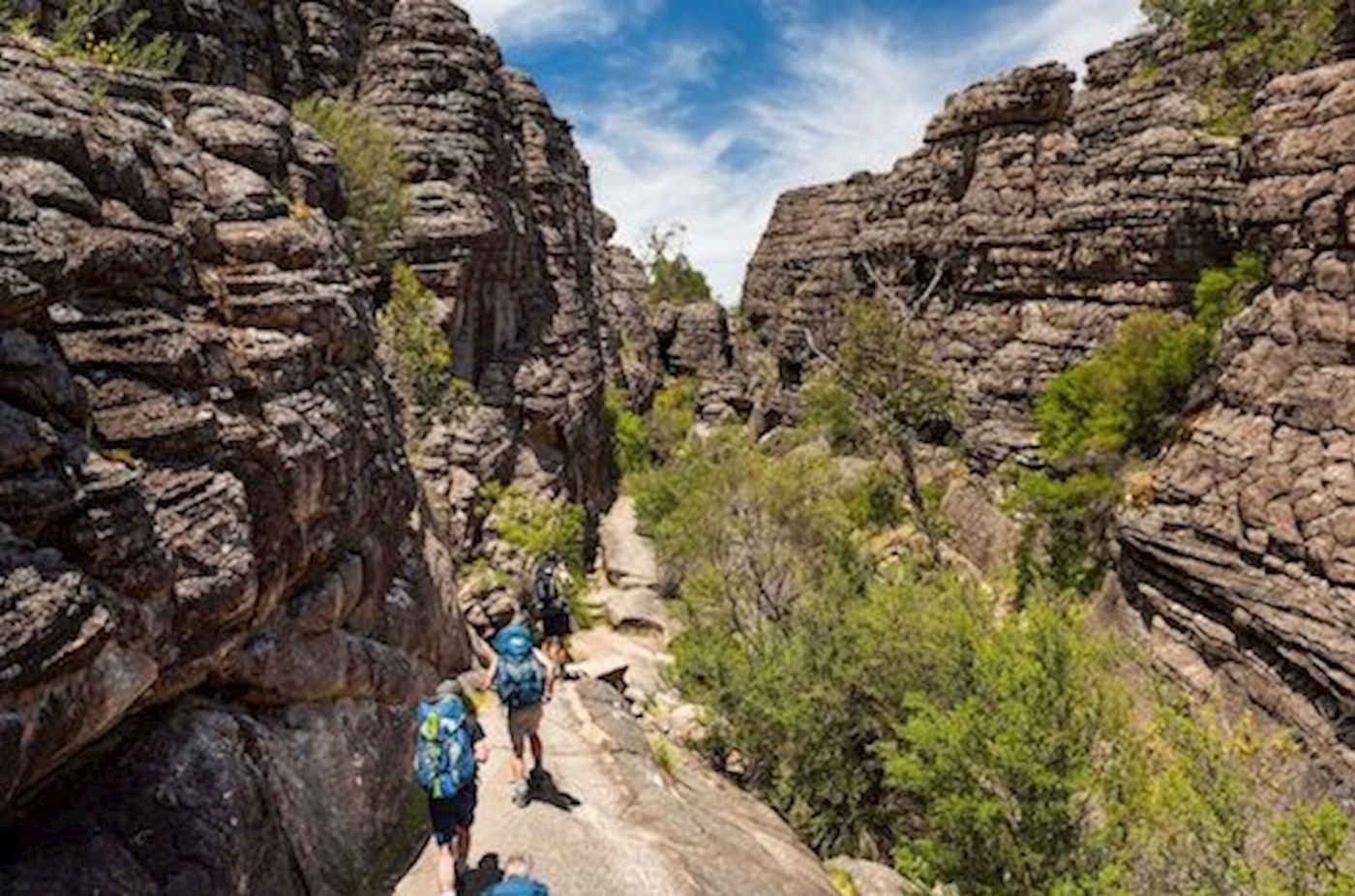 Wildlife Tours Australia Grampians National Park Wildlife & Waterfall Tour