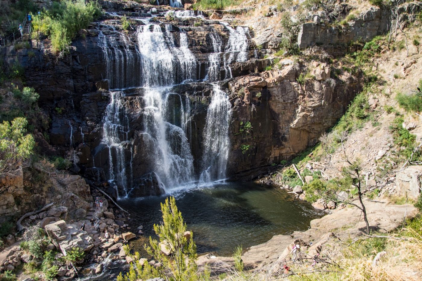 Wildlife Tours Australia Grampians National Park Wildlife & Waterfall Tour
