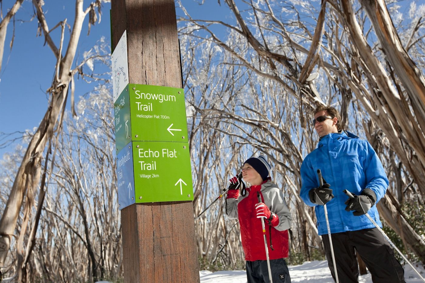 Wildlife Tours Australia Lake Mountain Snow & Chocolates Tour
