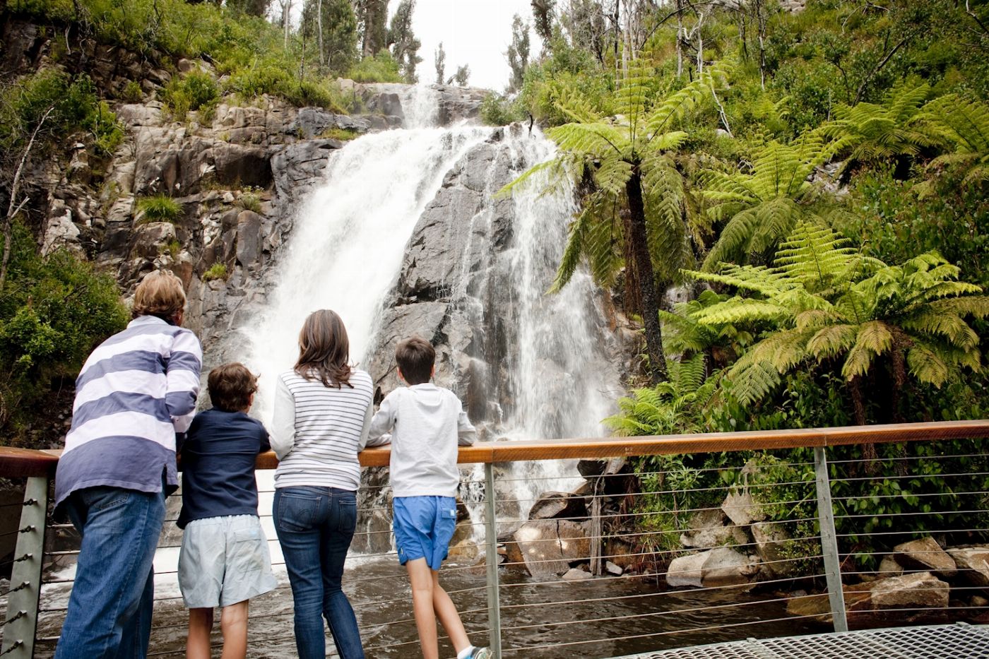 Wildlife Tours Australia Lake Mountain Snow & Chocolates Tour