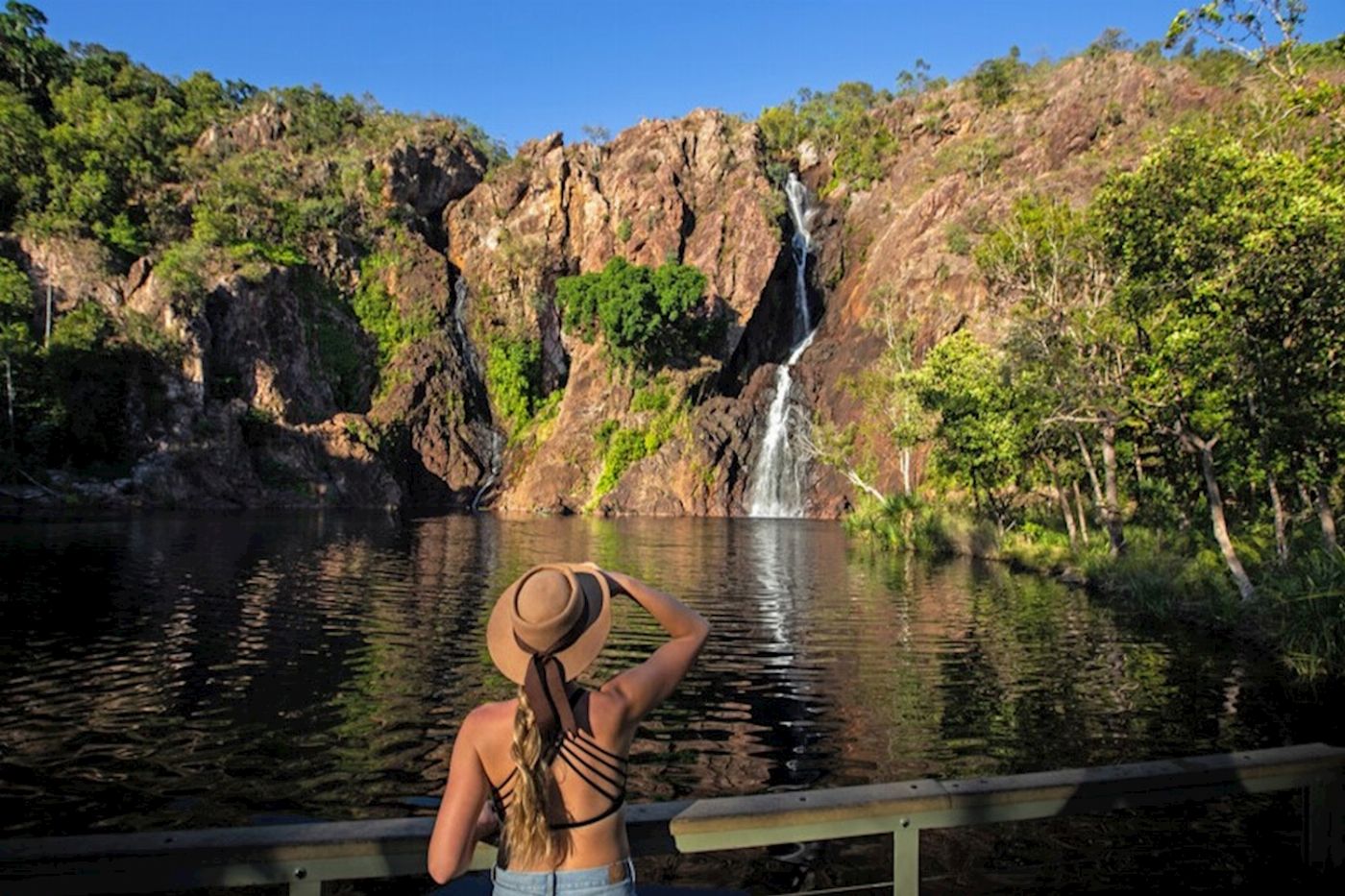 Wildlife Tours Australia Litchfield Waterfalls Wildlife Tour + Wetlands