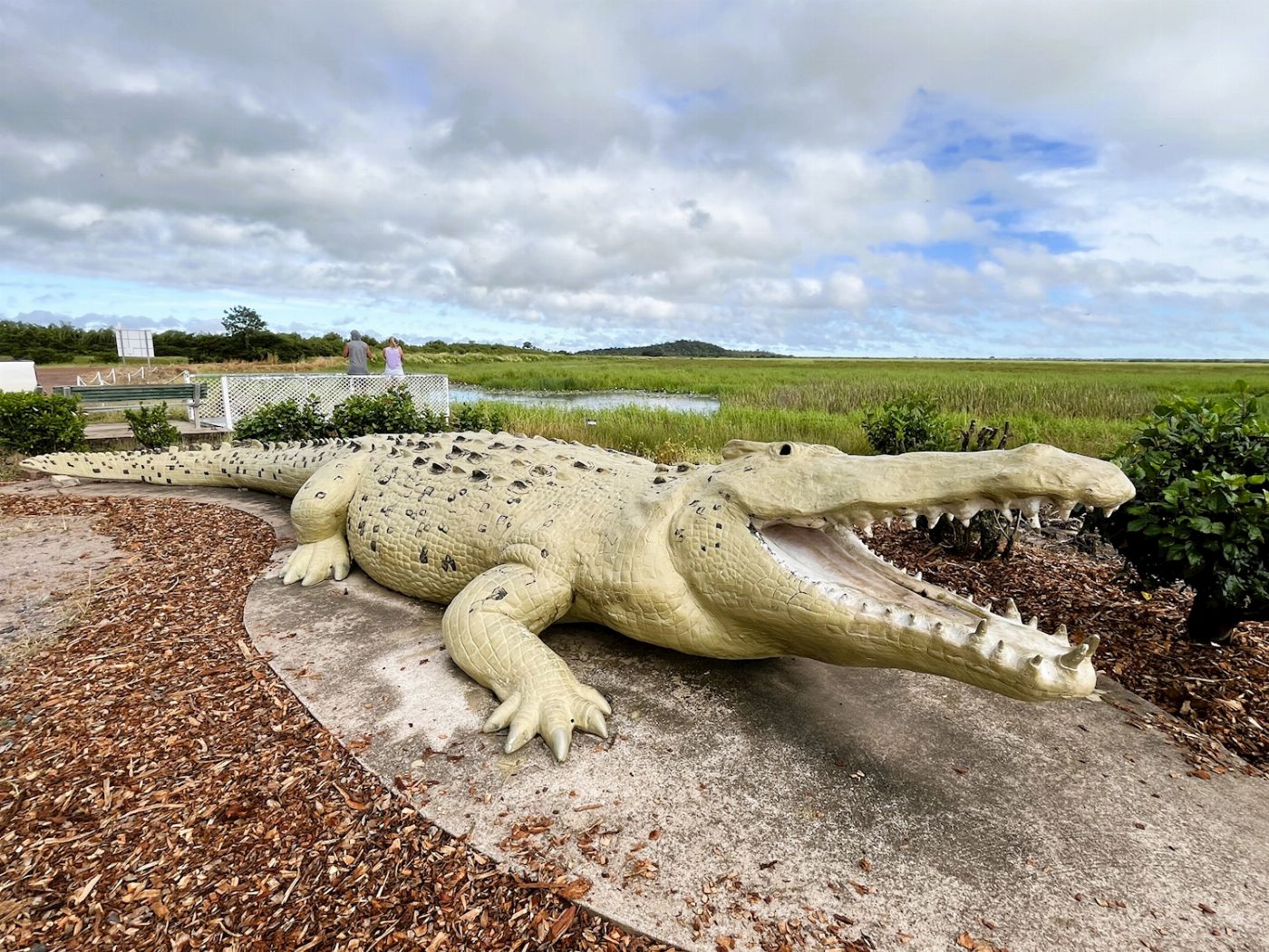 Wildlife Tours Australia Half Day Jumping Crocodile Cruise