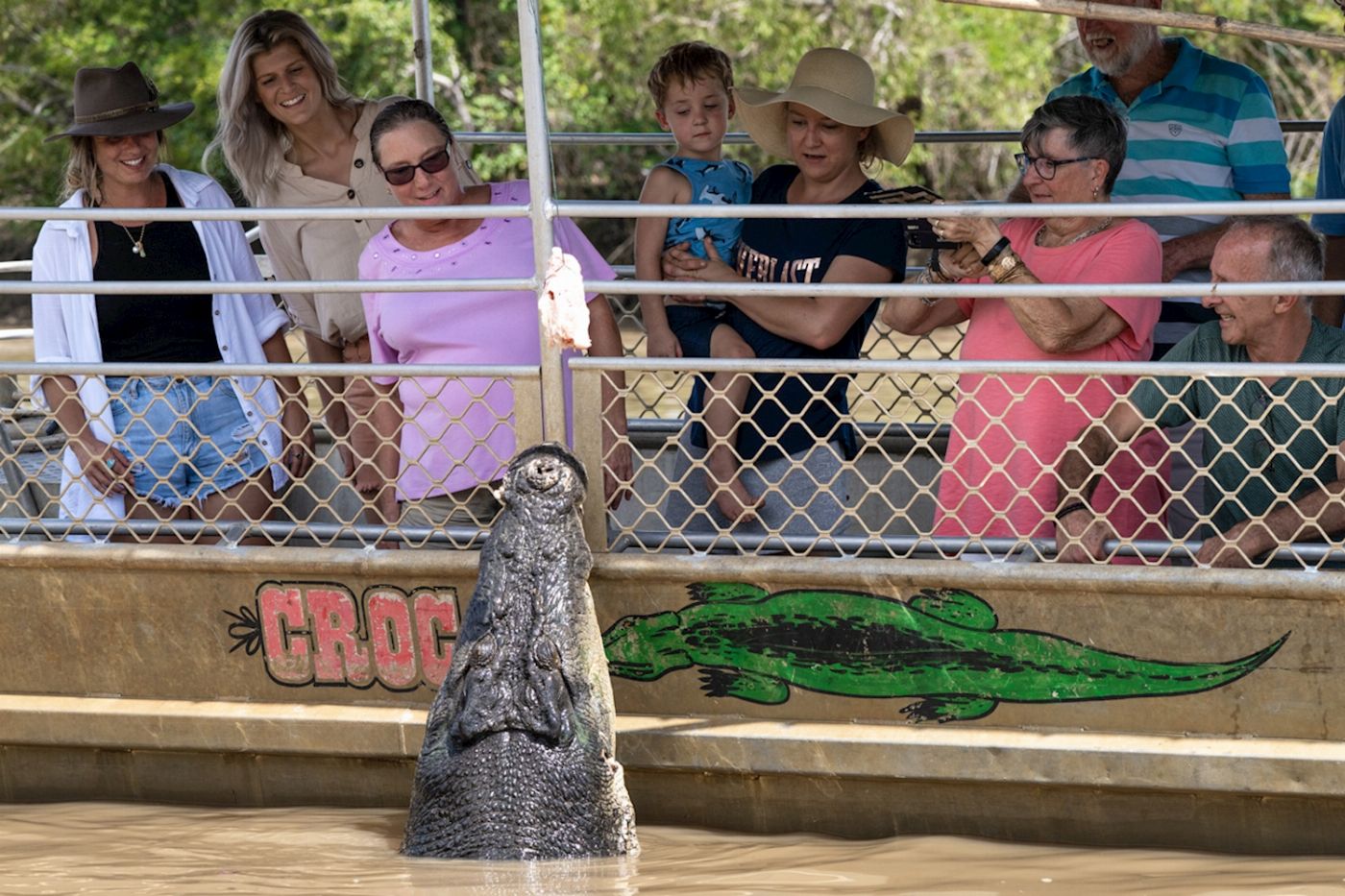 Wildlife Tours Australia Half Day Jumping Crocodile Cruise