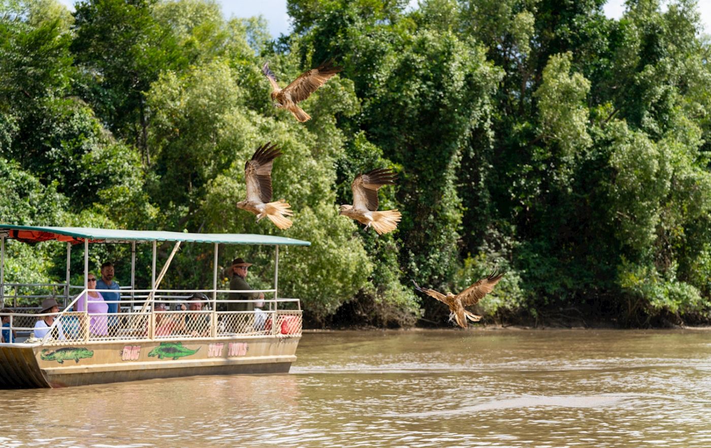 Wildlife Tours Australia Half Day Jumping Crocodile Cruise