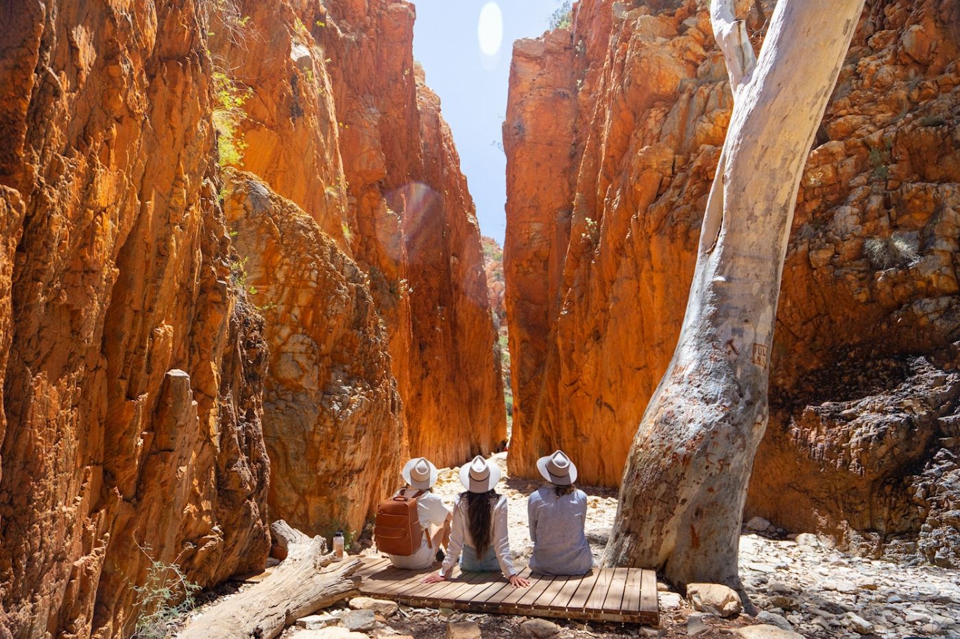 Wildlife Tours Australia West MacDonnell Ranges (Tjoritja) Tour