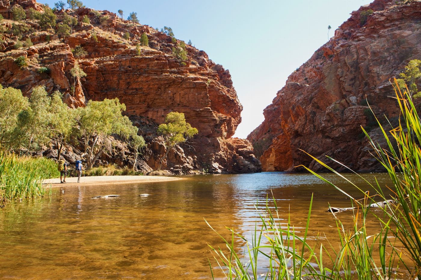 Wildlife Tours Australia West MacDonnell Ranges (Tjoritja) Tour