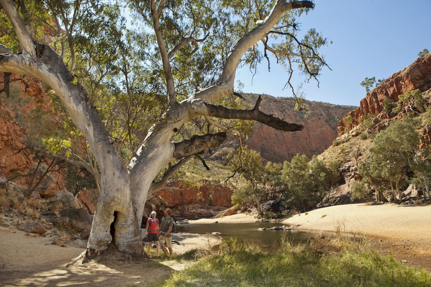Wildlife Tours Australia West MacDonnell Ranges (Tjoritja) Tour