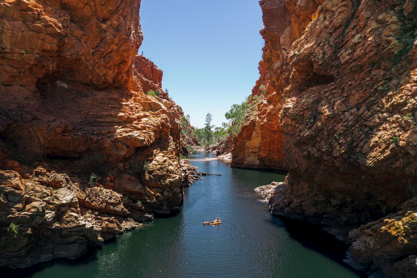 Wildlife Tours Australia West MacDonnell Ranges (Tjoritja) Tour