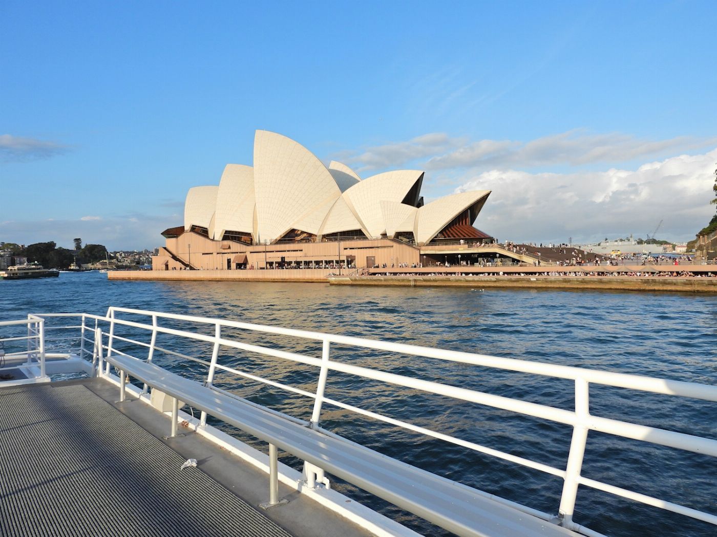 Sydney Princess Cruises Sydney Harbour Discovery Cruise with Lunch
