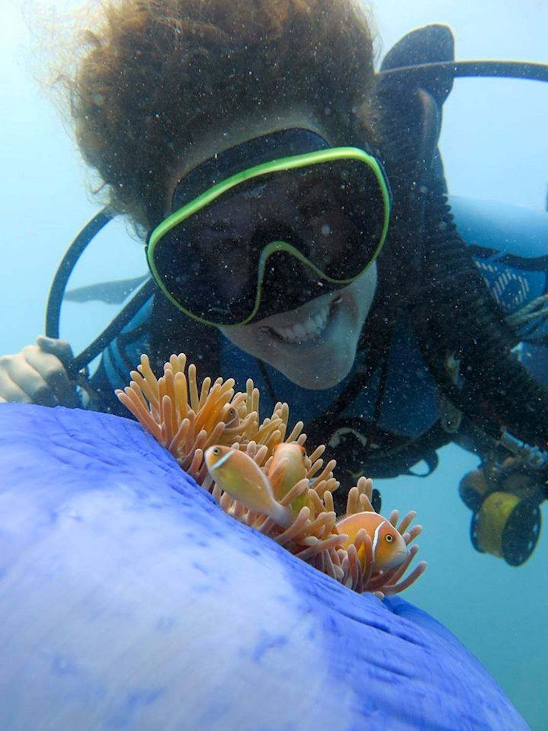 Whitsunday Dive Adventures 2-Tank Scuba Tour - Whitsunday Islands