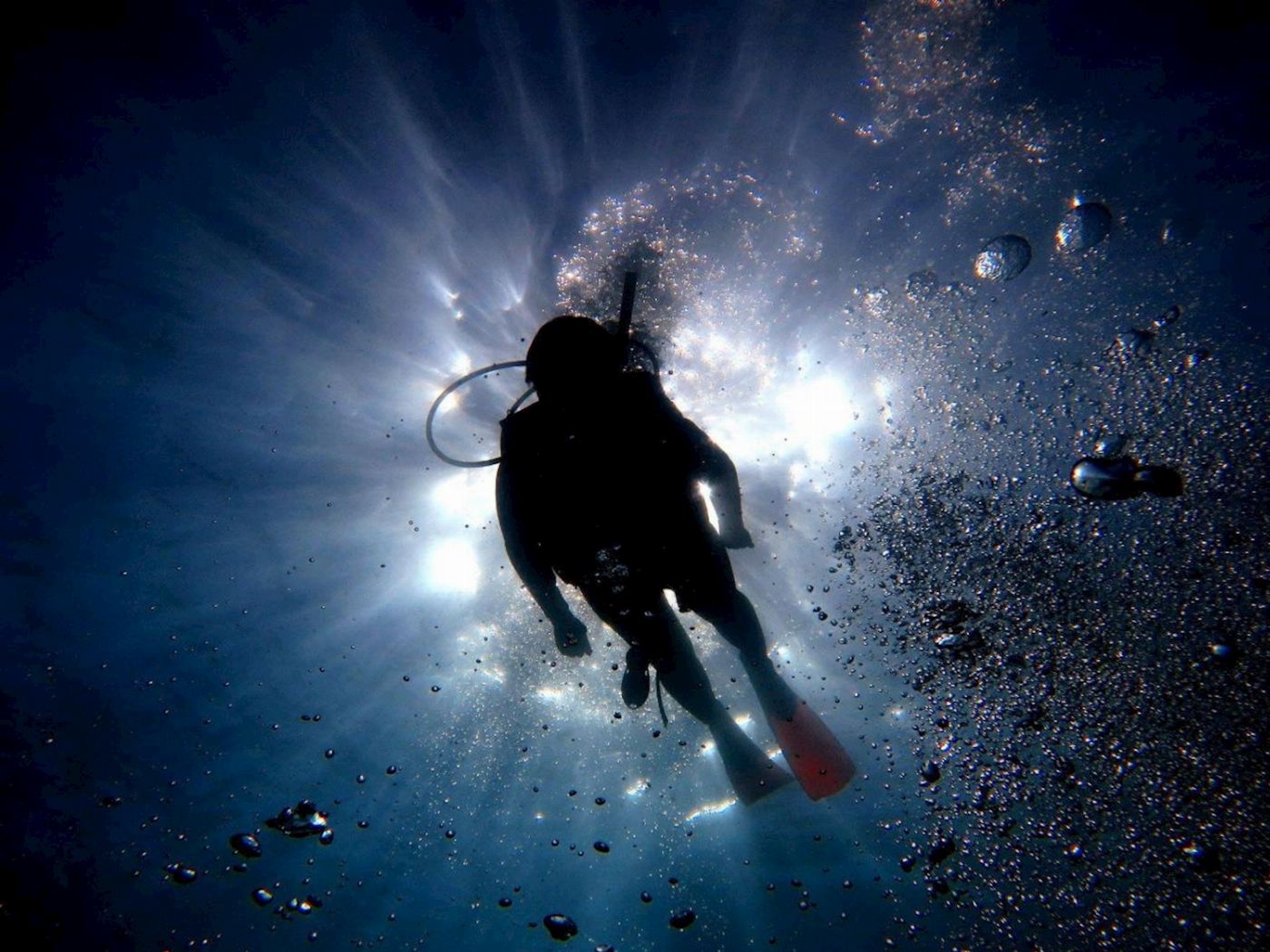 Whitsunday Dive Adventures 2-Tank Scuba Tour - Whitsunday Islands
