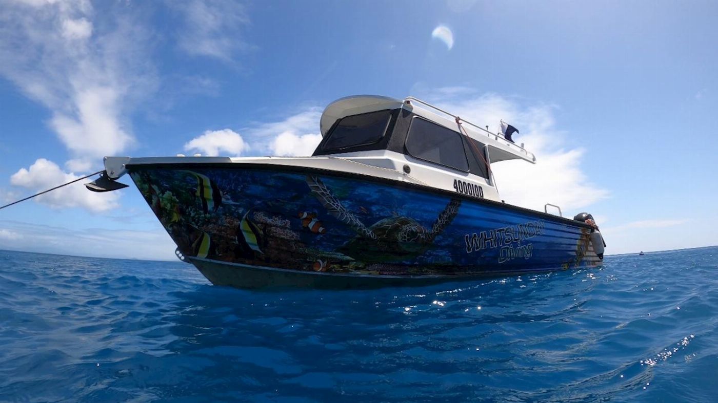 Whitsunday Dive Adventures Whitsunday Islands - Private Scuba Dive Charter