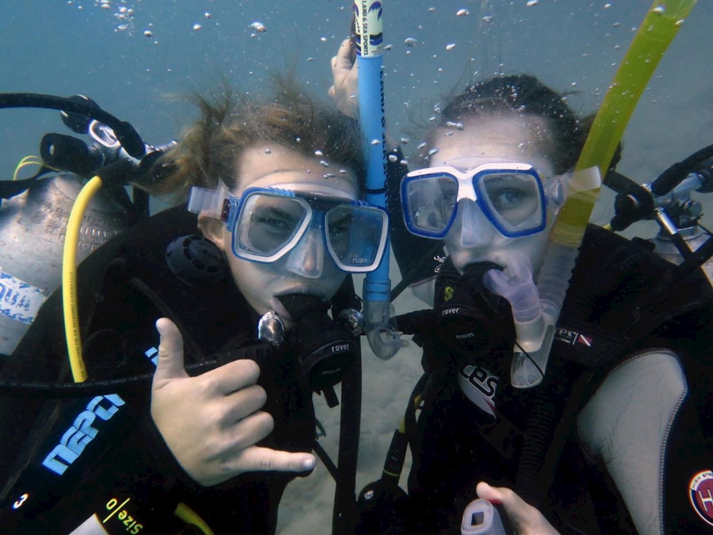 Whitsunday Dive Adventures Whitsunday Islands - Private Scuba Dive Charter