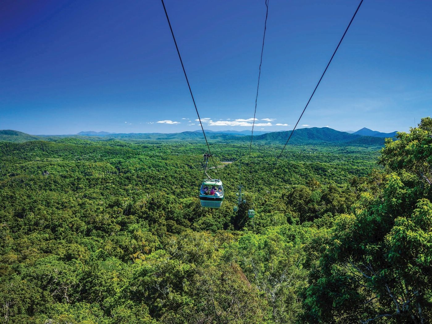 Skyrail Rainforest Cableway Return Skyrail Experience (no transfers)