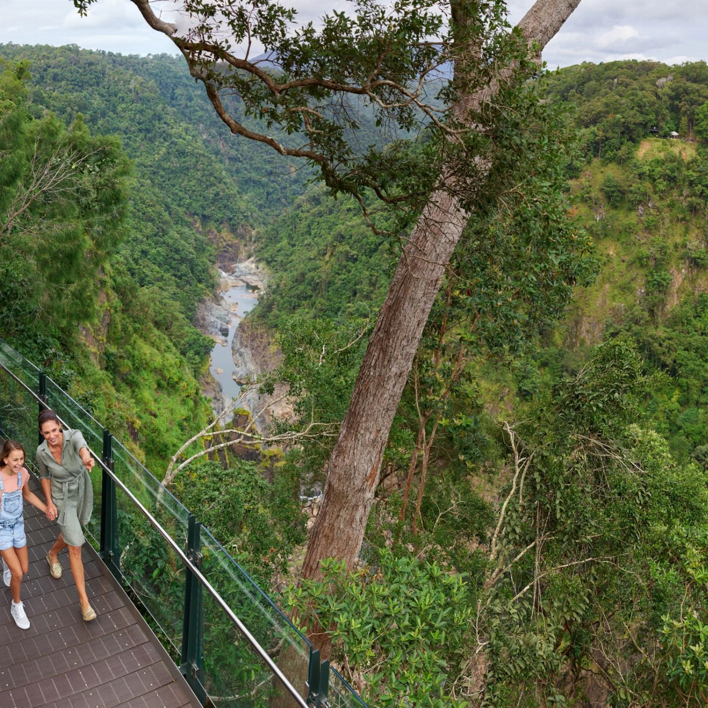 Skyrail Rainforest Cableway Return Skyrail Experience (no transfers)