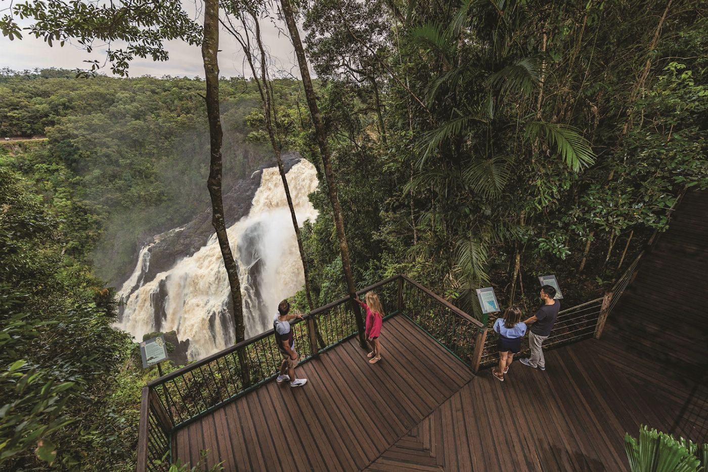 Skyrail Rainforest Cableway Return Skyrail Experience with Return Transfers from Cairns City - CALL TO BOOK