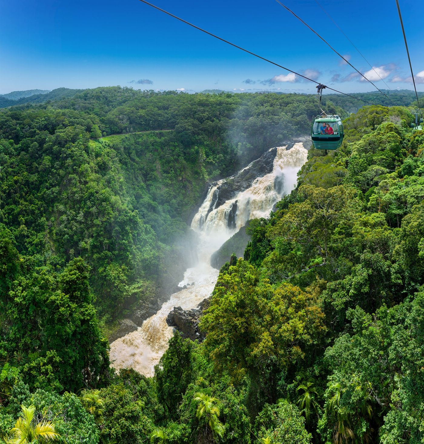 Skyrail Rainforest Cableway Return Skyrail Experience with Return Transfers from Cairns City - CALL TO BOOK