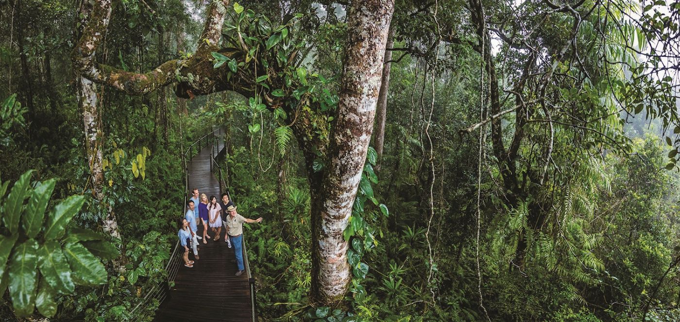 Skyrail Rainforest Cableway Return Skyrail Experience with Return Transfers from Cairns City - CALL TO BOOK