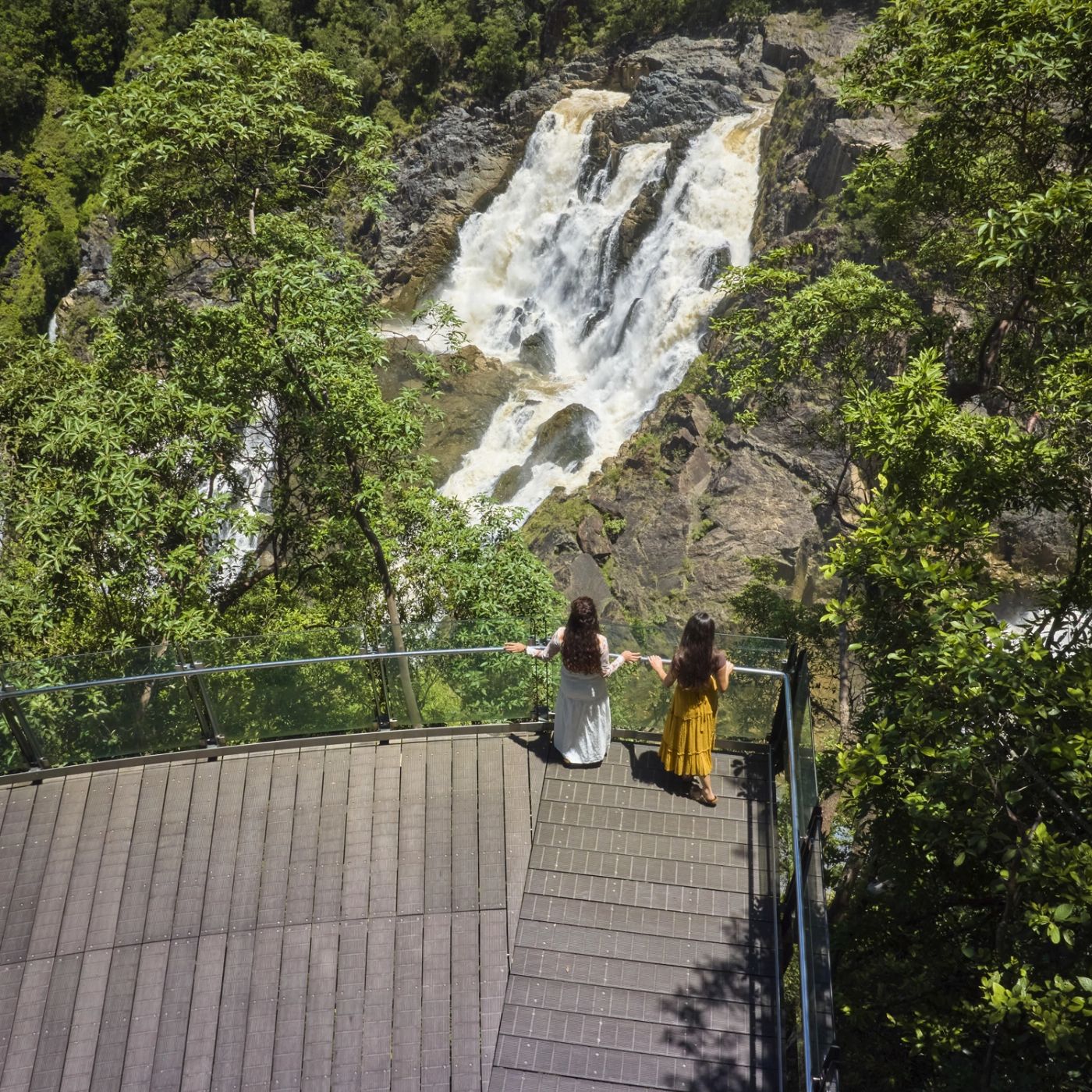 Skyrail Rainforest Cableway Skyrail and Train-Self Drive