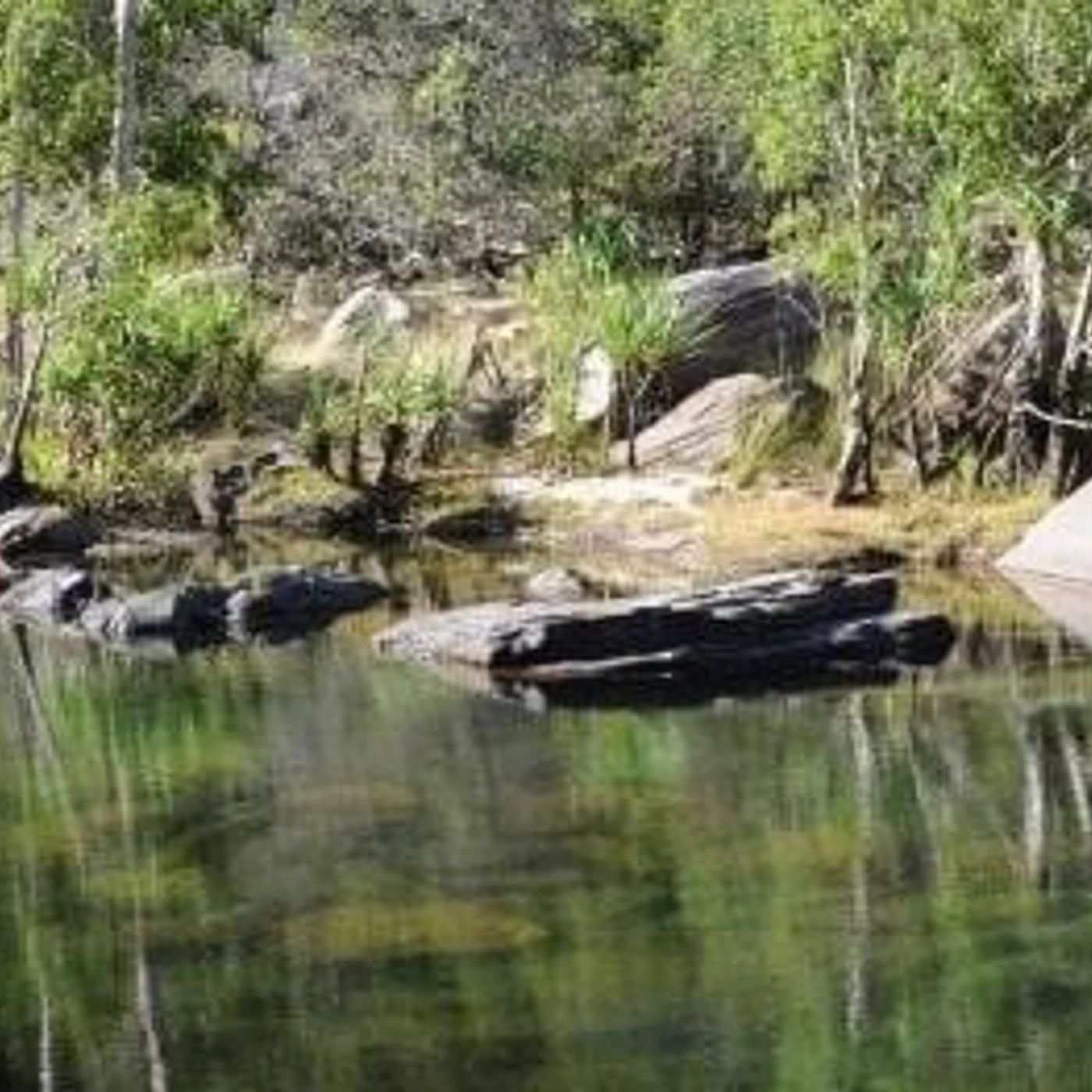 Never Never Tours Jim Jim Falls 4wd Tour - Full Day