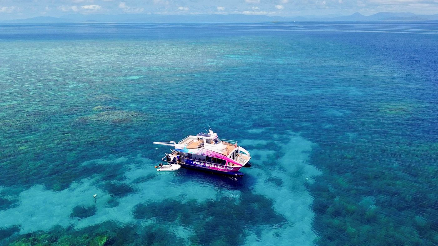 Pure Snorkelling Half Day Outer Reef Snorkel Adventure