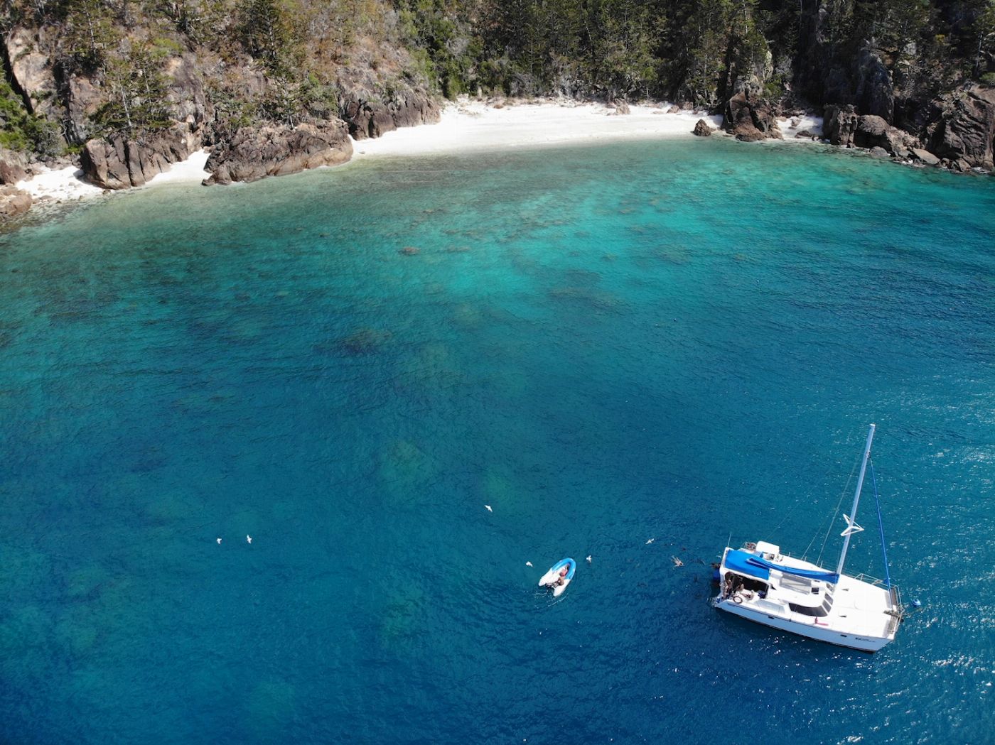 Whitsunday Sailing Adventures Whitsunday Adventurer 3D/3N