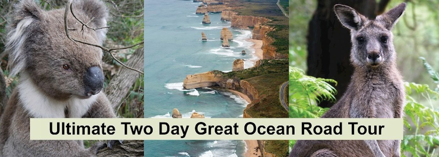 Around And About Platypus Two Day Great Ocean Road Tour