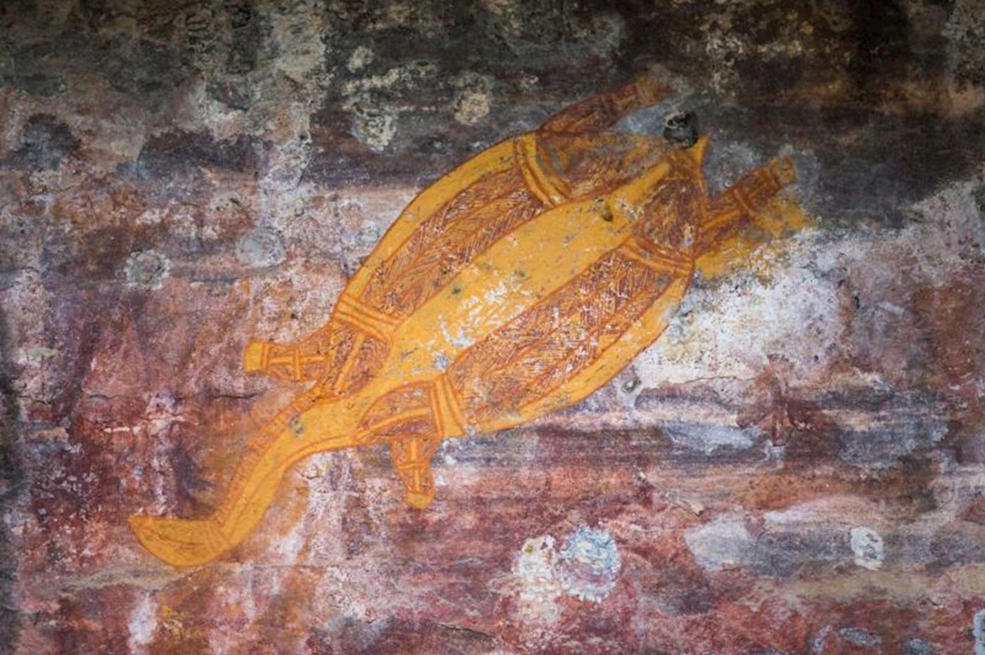 Adventure Tours (ATA) Kakadu Tour with Katherine and Litchfield