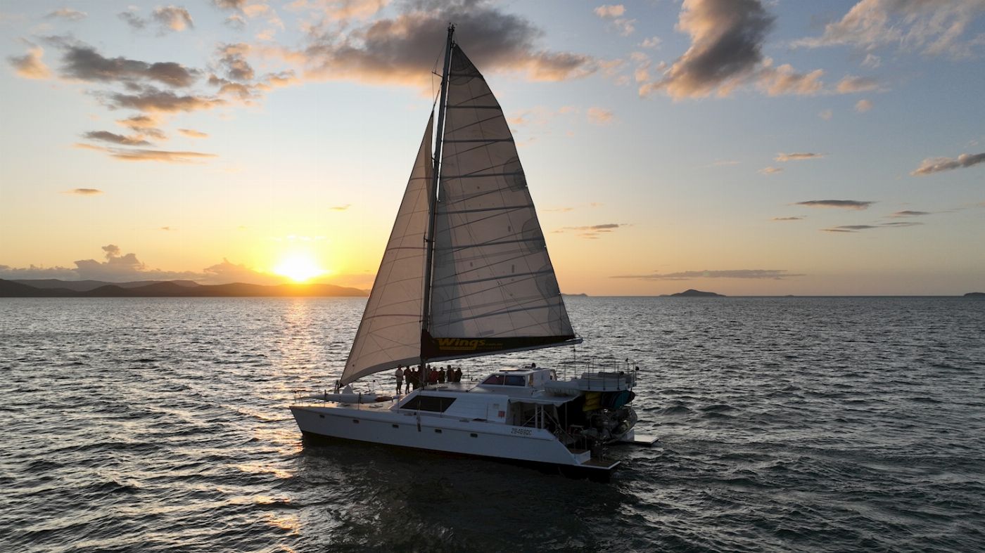 Wings Sailing Charters Whitsundays Airlie Beach Sunset Sail in Style Cruise- BYO