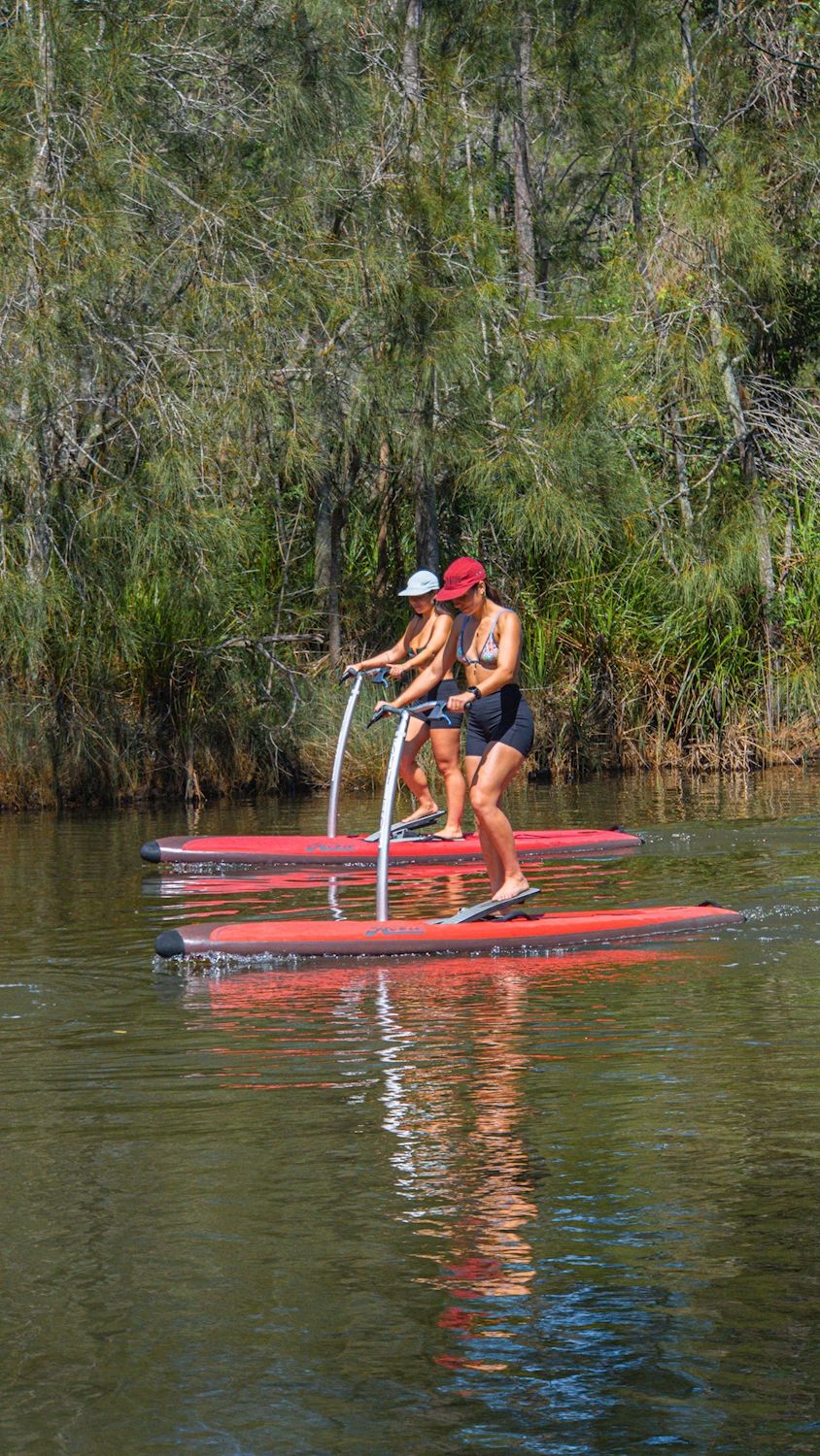 Sunlark Watersports Guided SUP Tour - Jungle Cruise