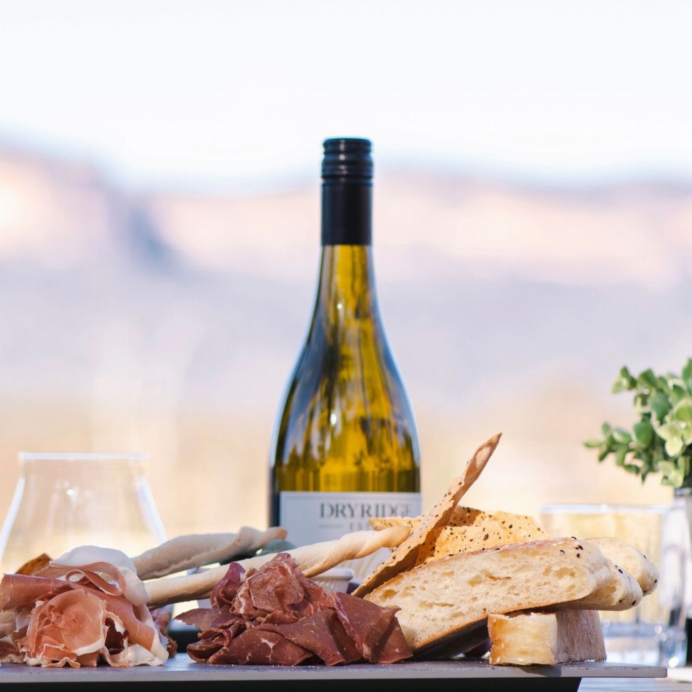 Blue Mountains Stargazing Wine Tasting Stargazing