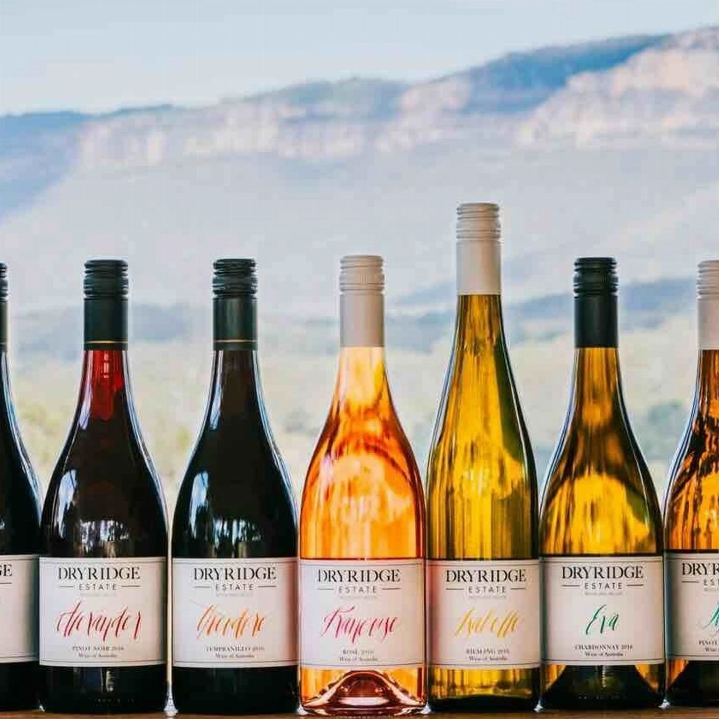 Blue Mountains Stargazing Wine Tasting Stargazing
