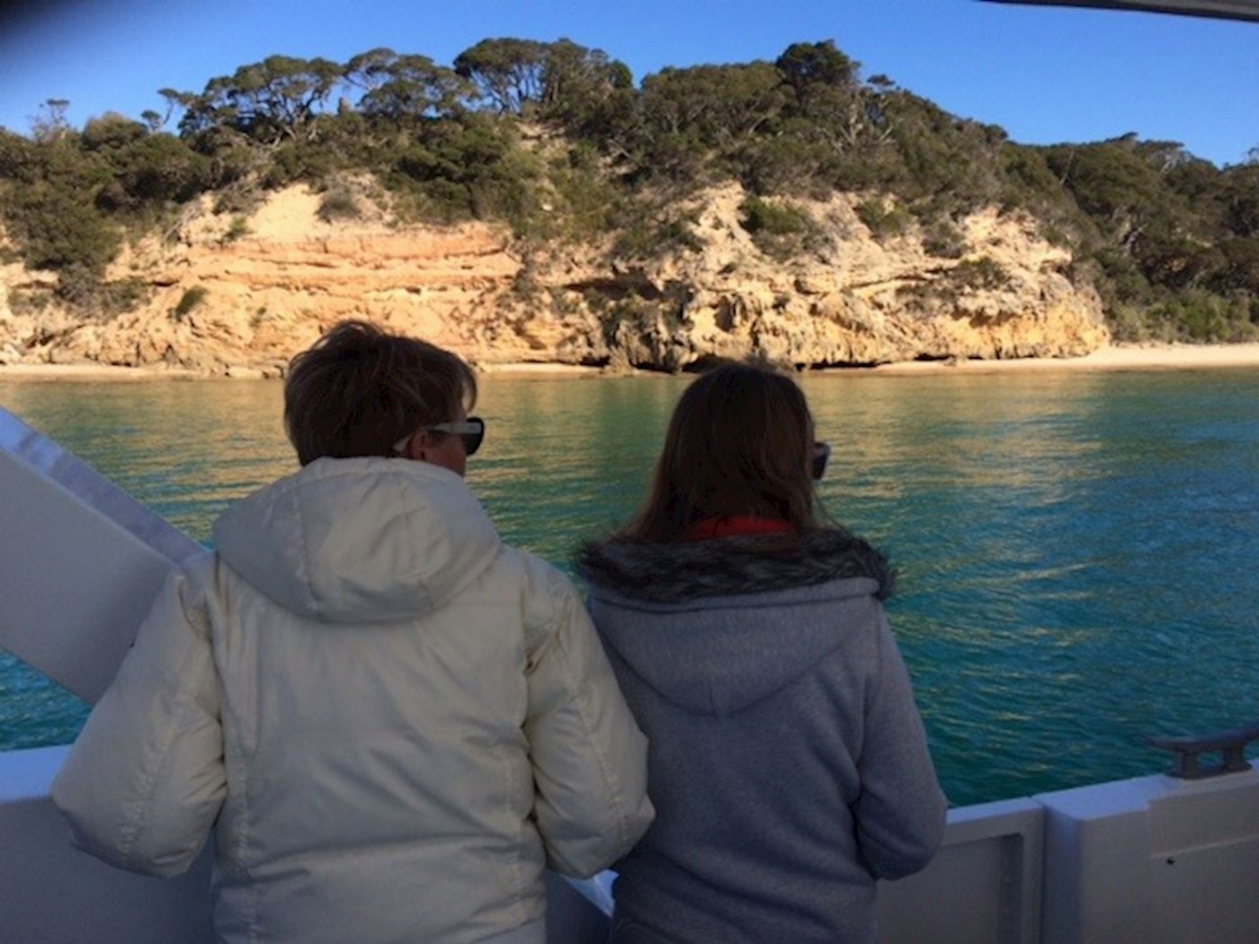Moonraker Dolphin Swims 1.5 Hour Wildlife Adventure Cruise