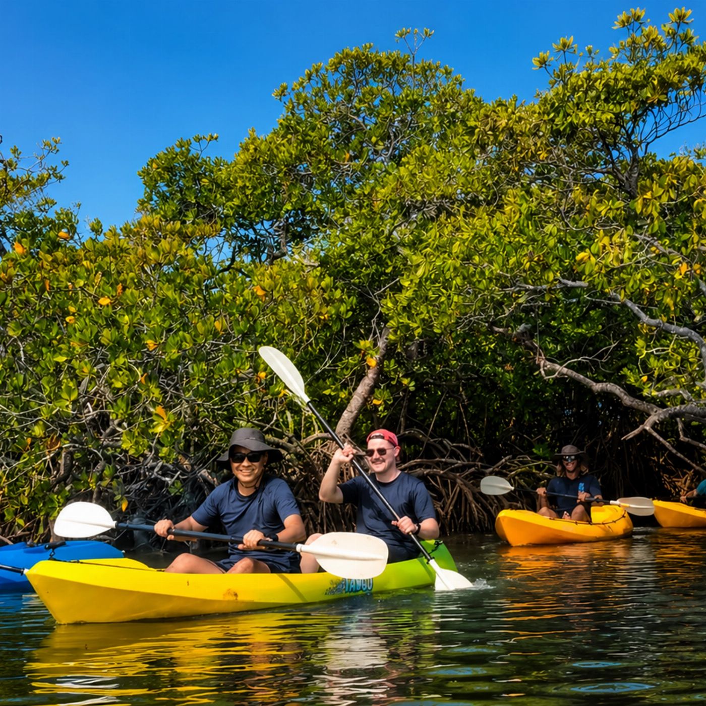 Epic Ocean Adventures Noosa Heads: Hidden Waterways & Wildlife Kayak Tour (Fully Guided)