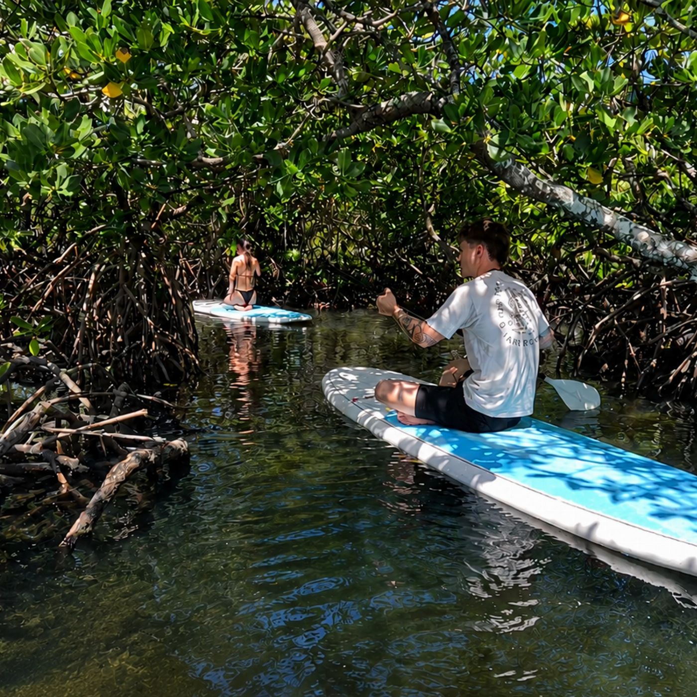 Epic Ocean Adventures Noosa Stand Up Paddle & Mangrove Tunnel Tour - (Fully Guided)