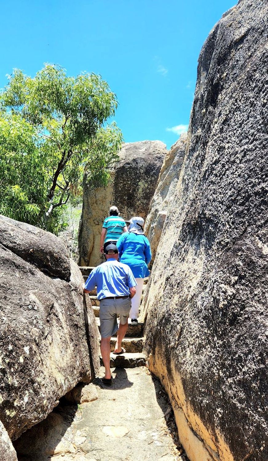 Driftwood Tours Bowen Discovery Tour