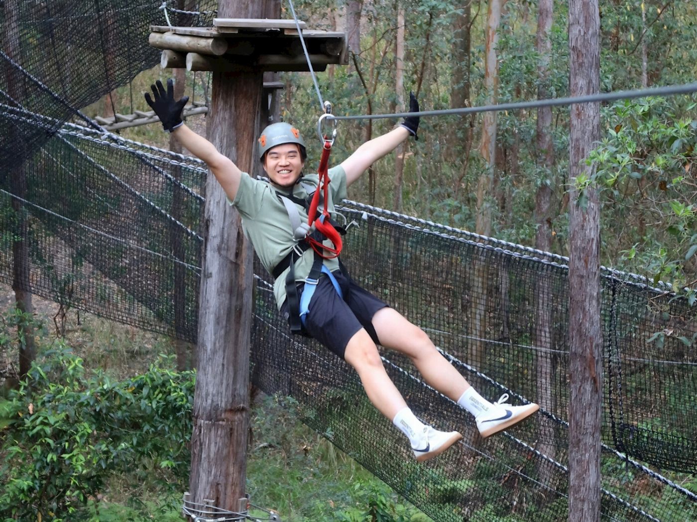 TreeTop Challenge Mt Tamborine High Ropes and Zipline Adventure