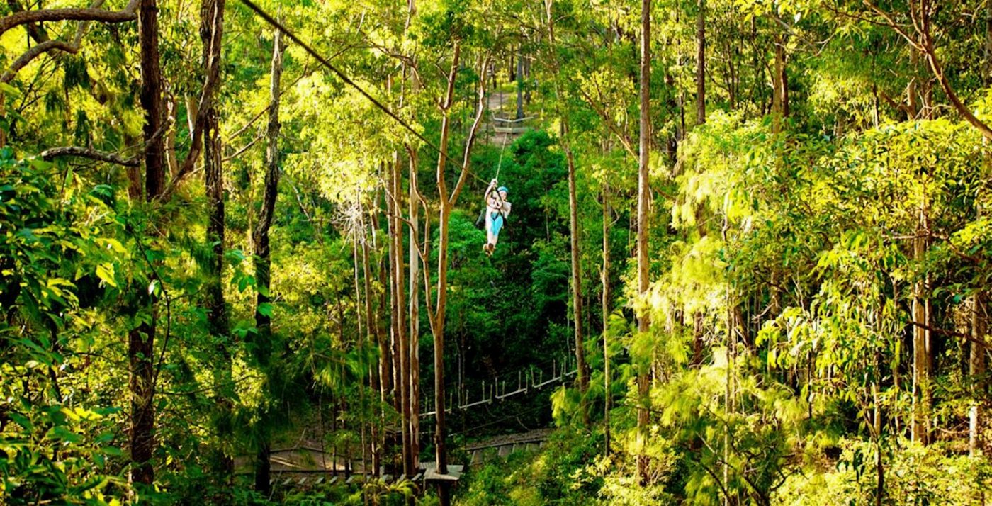 TreeTop Challenge Mt Tamborine High Ropes and Zipline Adventure