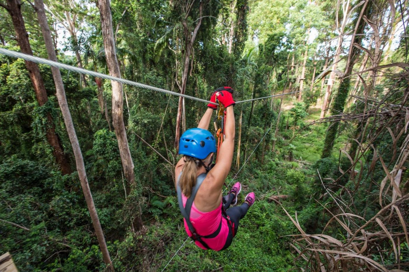 TreeTop Challenge Sunshine Coast High Ropes and Zipline Adventure Park