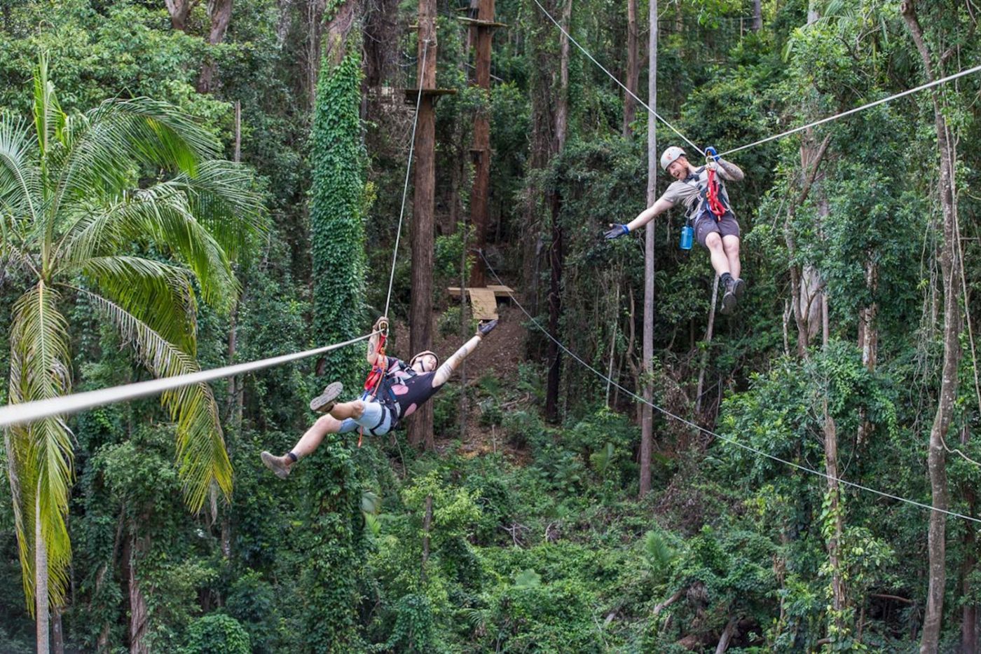 TreeTop Challenge Sunshine Coast High Ropes and Zipline Adventure Park