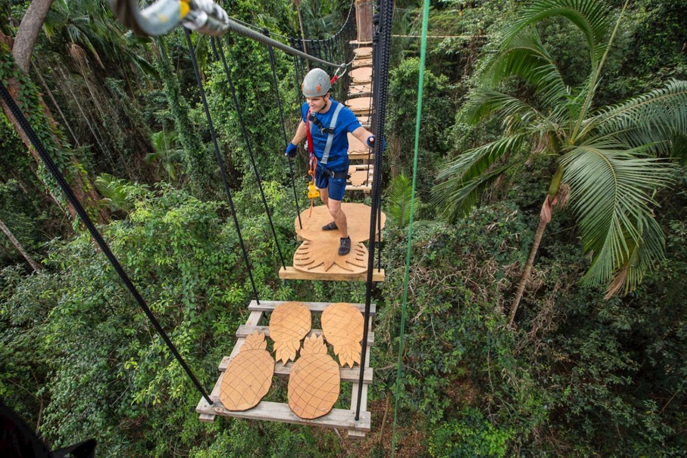 TreeTop Challenge Sunshine Coast High Ropes and Zipline Adventure Park