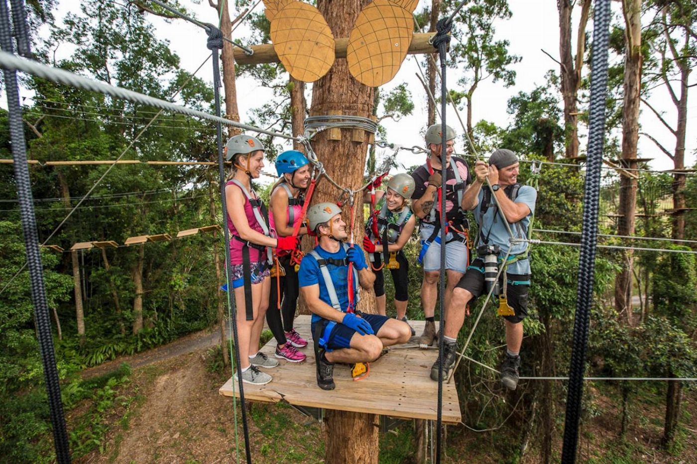 TreeTop Challenge Sunshine Coast High Ropes and Zipline Adventure Park