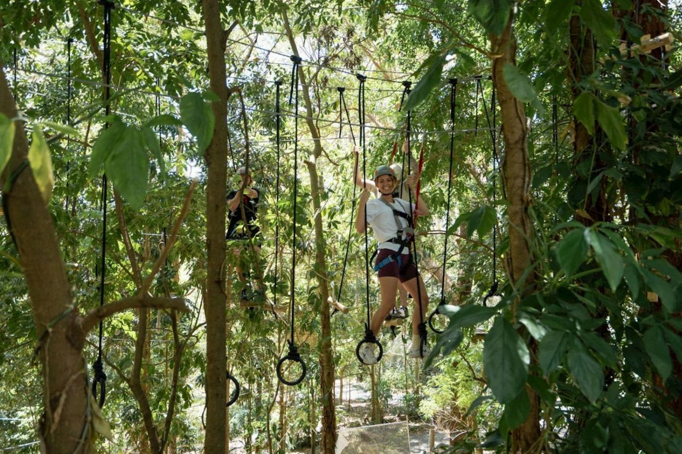 TreeTop Challenge Currumbin High Ropes and Zipline Adventure Park