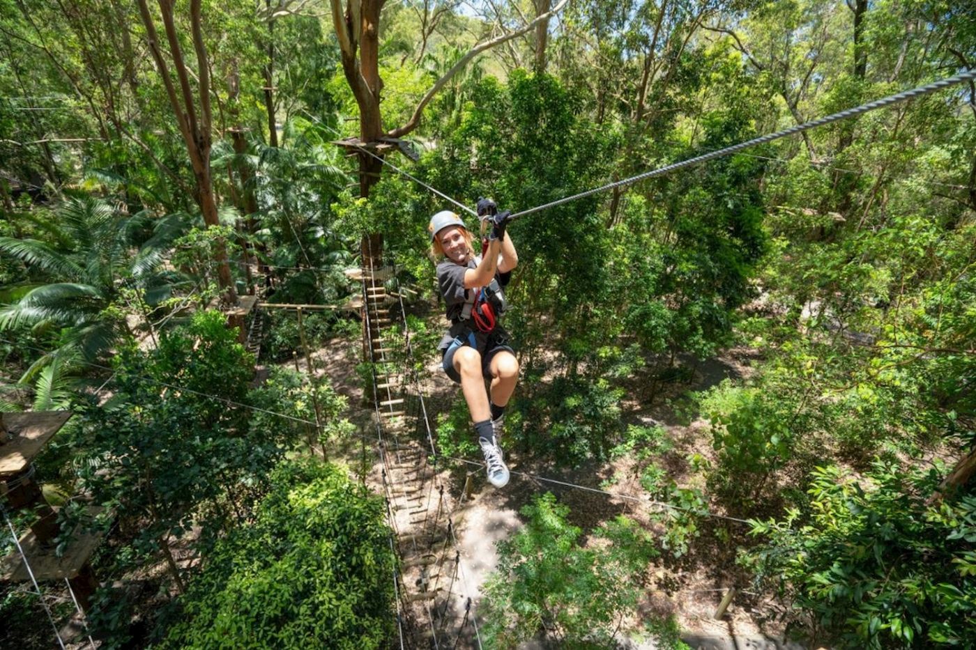 TreeTop Challenge Currumbin High Ropes and Zipline Adventure Park