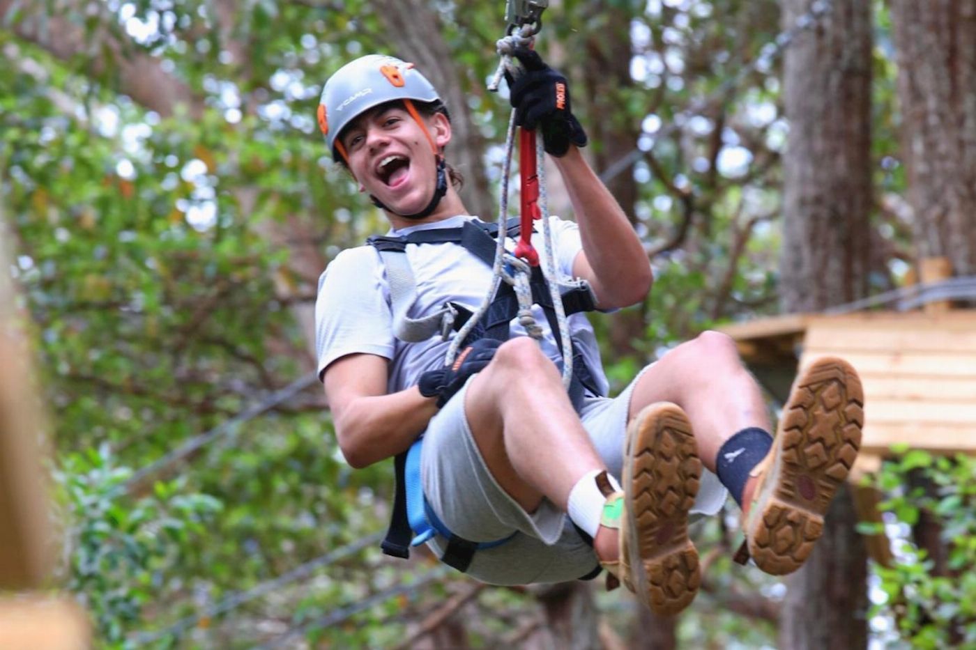 TreeTop Challenge Currumbin High Ropes and Zipline Adventure Park