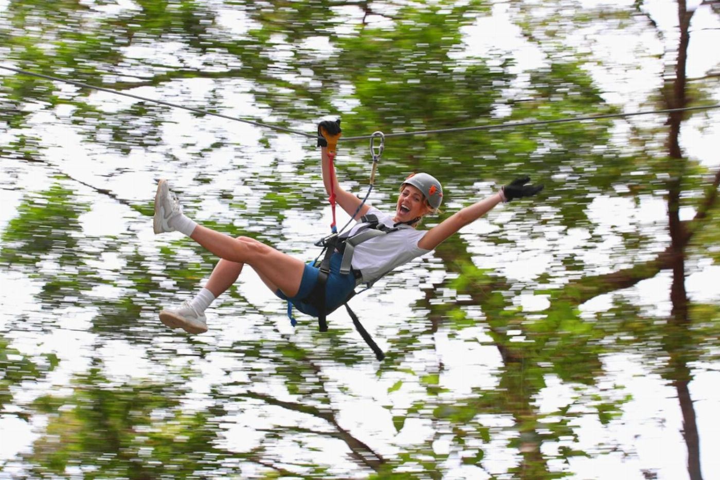 TreeTop Challenge Currumbin High Ropes and Zipline Adventure Park