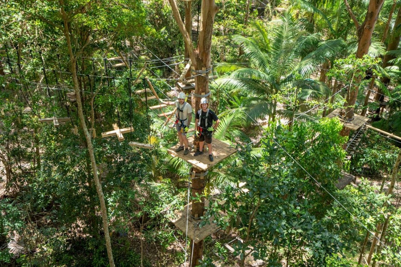 TreeTop Challenge Currumbin High Ropes and Zipline Adventure Park